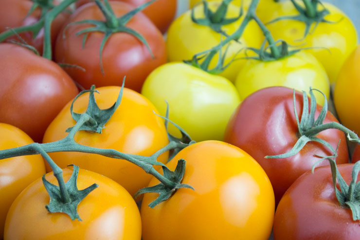 Tomatoes for Jam