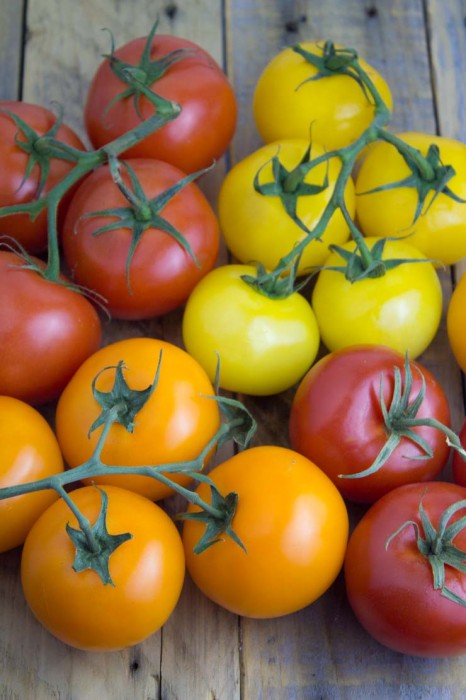 Tomatoes for Jam