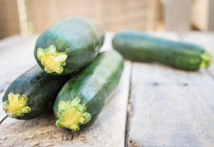 Local Zucchini