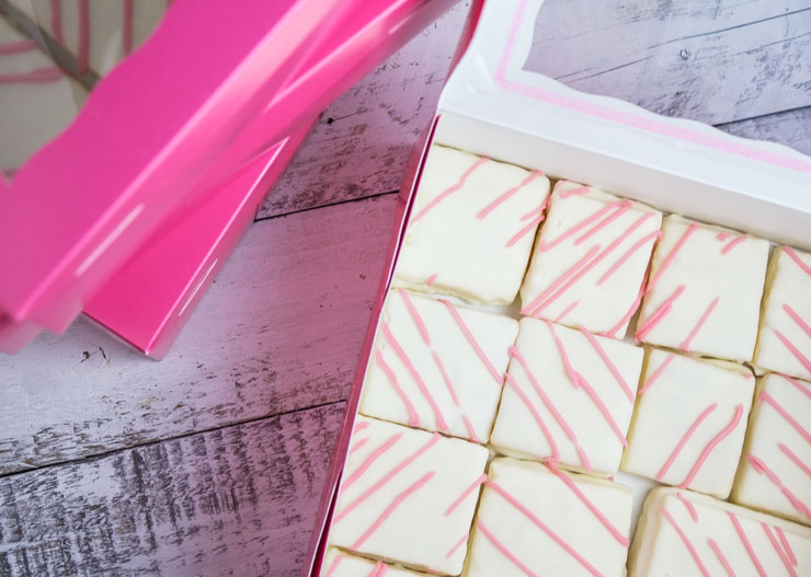 Snack Cakes with Glaze Coating