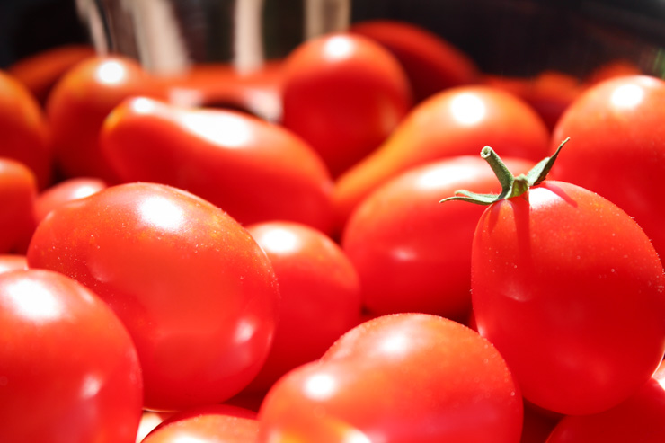 Homegrown Tomatoes