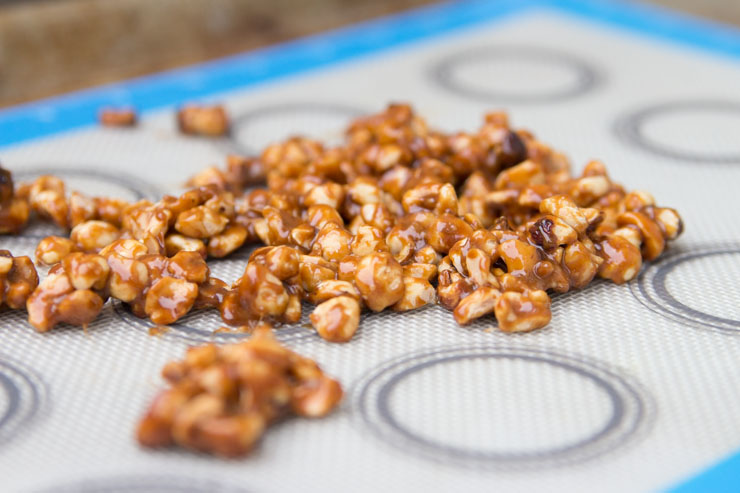 Candied Hazelnuts