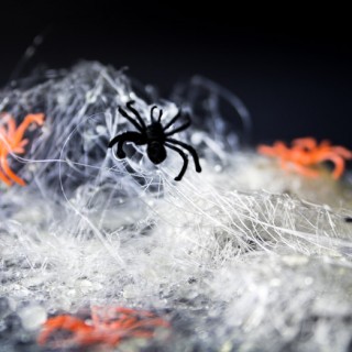 Spun Sugar Spider Webs
