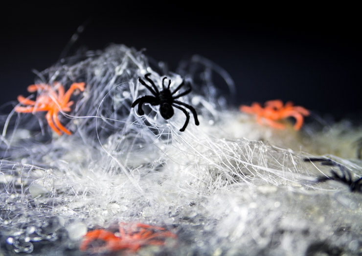 Spun Sugar Spider Webs