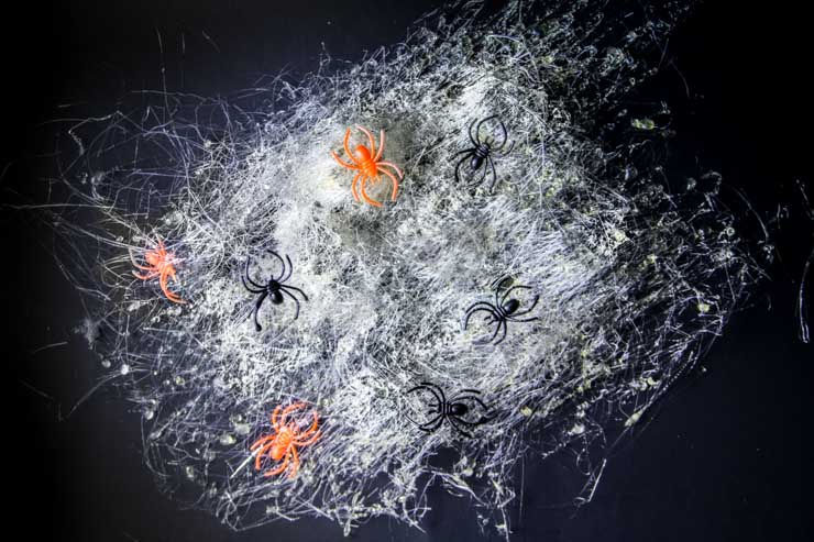 Spun Sugar Spider Webs