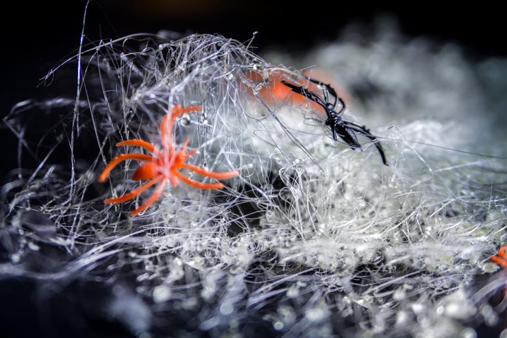 Spun Sugar Spider Webs