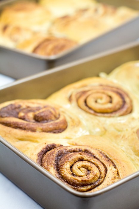 Giant Cinnamon Rolls