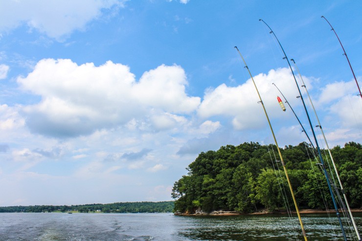 Kentucky Lake