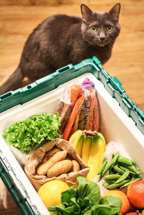 Green BEAN Delivery Box