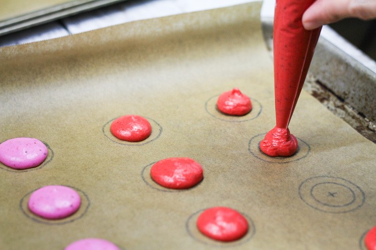 Piping Macarons on Template