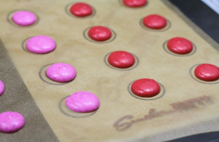 Using the Template to Pipe Macarons