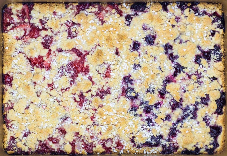 Baked Homemade Berry Bars with Streusel Topping