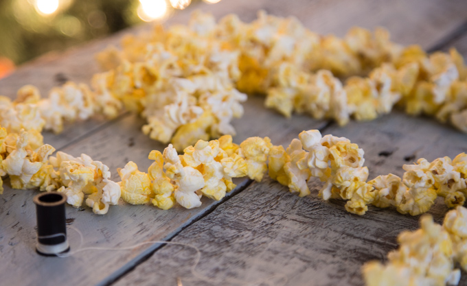 Party Decorations - Popcorn Garland