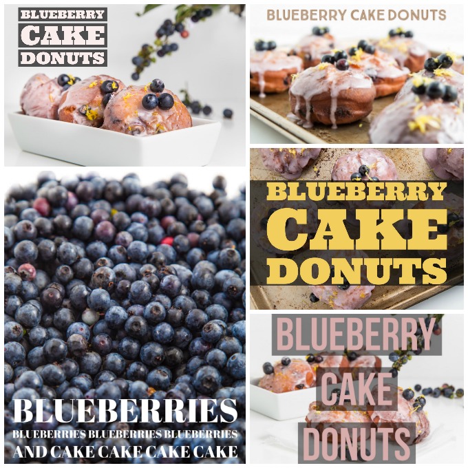 Blueberry Cake Donuts from SouthernFATTY.com