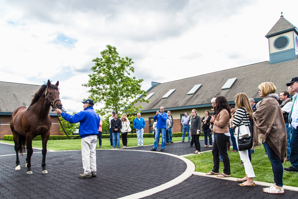 Kentucky Derby - Thoroughbred Horse Farm