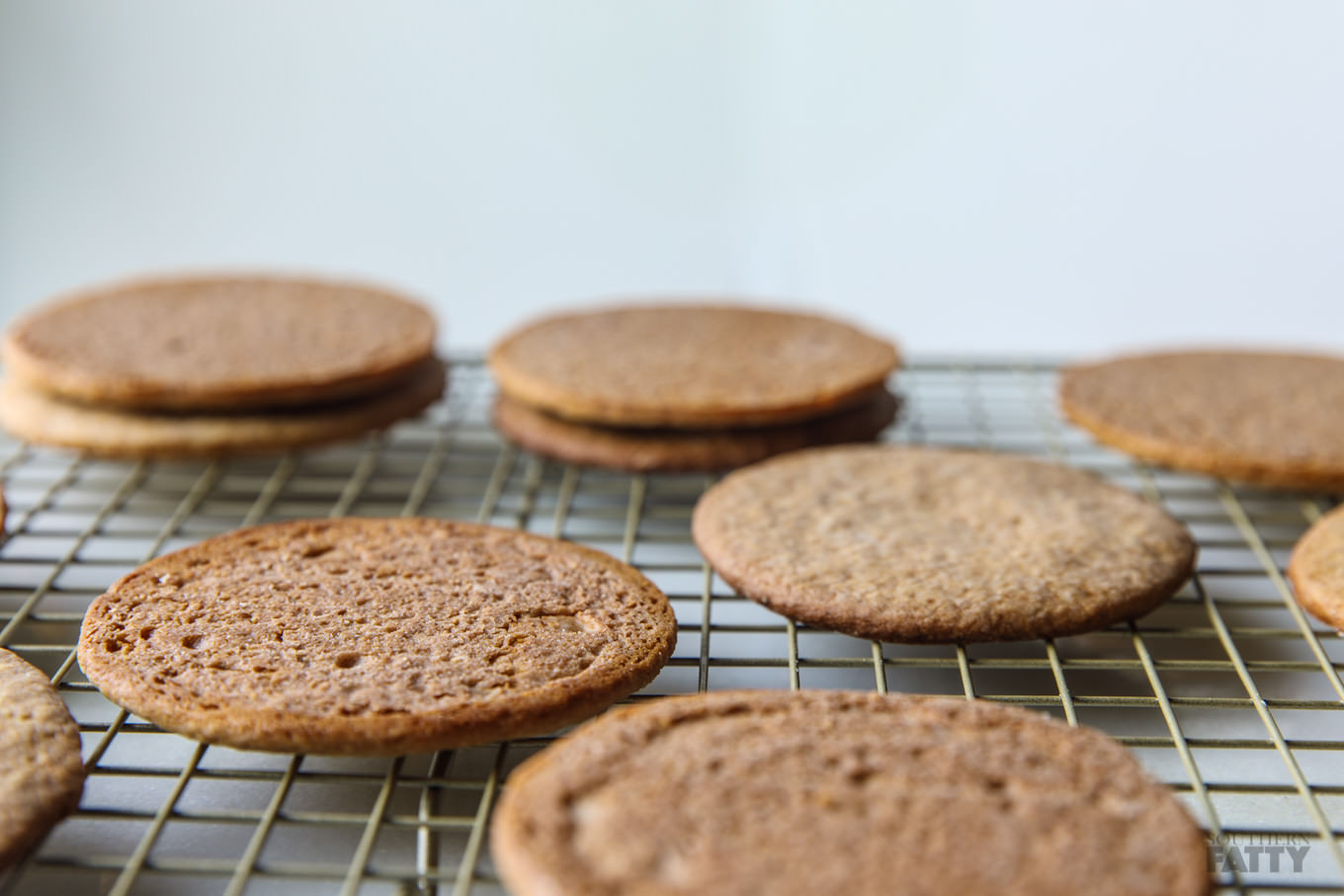 Moon Pie Graham Cracker Cookies on SouthernFatty.com