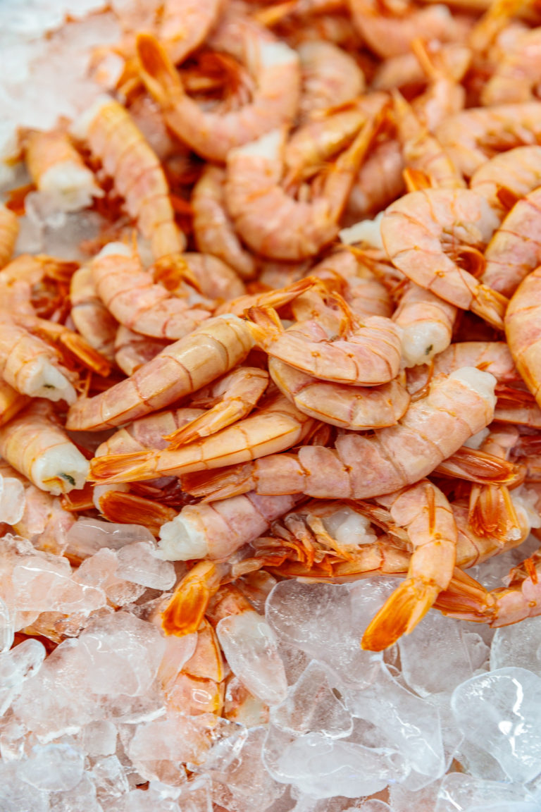 Panama City Beach Eats & Treats Southern FATTY